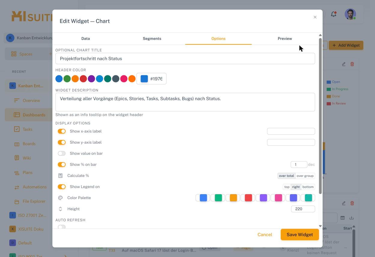 Widget-Editor – Reiter „Options“